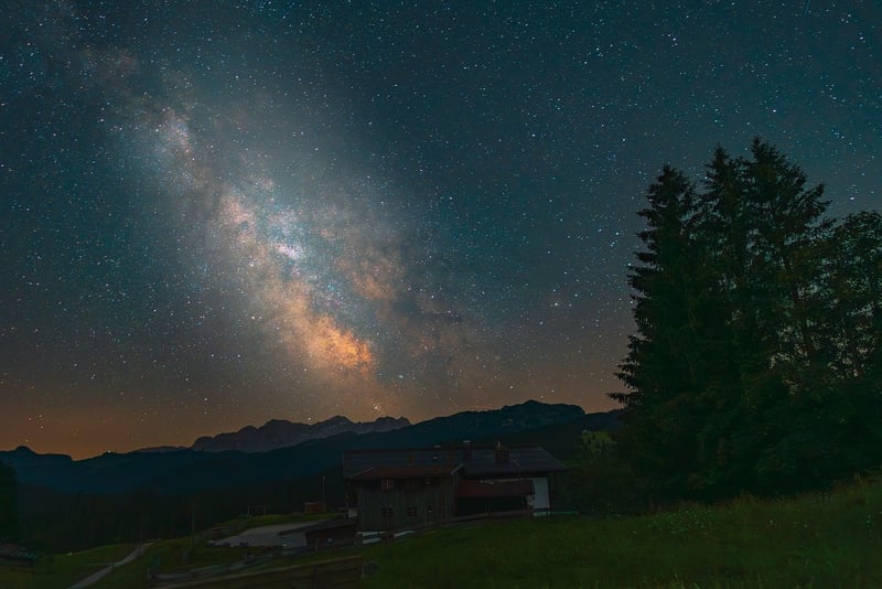 Moonlight Meadows